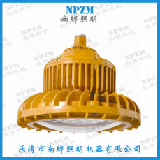 LED防爆泛光灯80W-100W